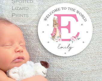 Personalisierte Peter Rabbit Baby Ankündigung Disc | Kundenspezifisches Baby-Namensschild | Schwangerschaft offenbaren Geschenk | Neues Baby-Andenken | Fotorequisite
