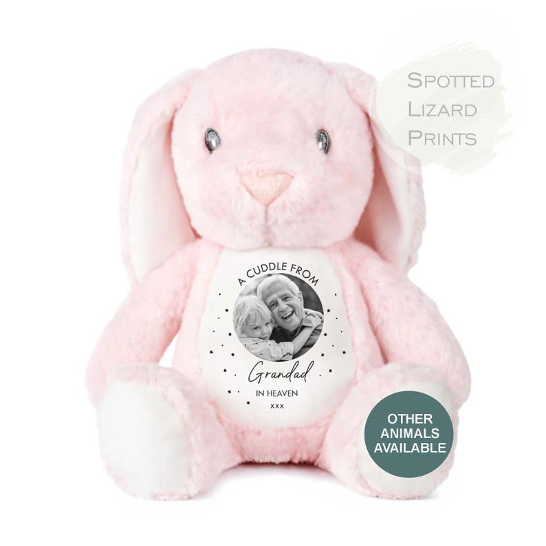Memory Soft Toy - A Cuddle From Heaven - Memory Gift - Memorial Photo Gift Bereavement Loss of Loved One - Sympathy - Grandparent in Heaven PINK Bunny