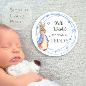 Peter Rabbit New baby arrival disc Hello World My Name is, New Baby Coasters, pregnancy reveal, born in 2025, New Mum gift, Photo prop