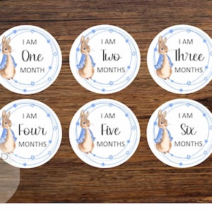 Onderzetters babymijlpalen, 1 maand tot 12 maanden, fotorekwisiet, kraamcadeau, nieuwe baby, Peter Rabbit, cadeau nieuwe moeder, welkom op de wereld