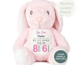 Personalised Birth Details Bunny, New Baby Keepsake Rabbit, Custom Name Date Weight Time Teddy, Baby Boy Girl Newborn Gift
