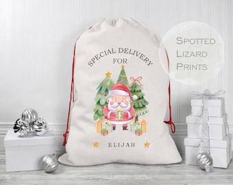 May include: White Christmas gift bag with red drawstring, featuring a Santa Claus illustration with trees and presents. The bag says "Special Delivery for Elijah".