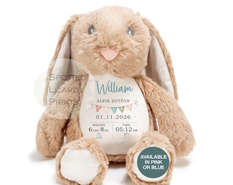Personalised Birth Details Rabbit, Born in 2026 Bunny, Custom Name Newborn Teddy, Pink Blue Baby Keepsake, New Baby Boy Girl Gift
