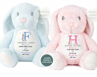 Personalised Born in 2027 Bunny, Baby Birth Details Rabbit Teddy, Custom Name Newborn Keepsake, Pink Blue Baby Girl Boy Gift, New Baby Toy