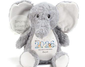 Personalised Baby Soft Toy Born in 2026 | Custom Name Plush Teddy | New Baby Gift | Baby Shower Gift | Baby Girl Boy Keepsake | Welcome