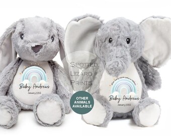 Personalised Rainbow Baby Teddy | IVF Baby Gift Keepsake | After Every Storm Comes a Rainbow | Memorial Baby Soft Toy | Custom Name Teddy UK