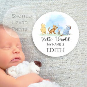 Winnie the Pooh baby Announcement Coaster, New Mum Gift, Plaque, New baby, Gender Reveal, Pregnancy announcement, Hello world, Baby Shower