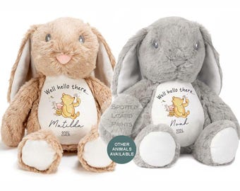 Geburt im Jahr 2026 Kuscheltier Name, Willkommen auf der Welt - Babyparty - Baby Geschenk - Nun hallo gibt es Winnie der Pooh Teddy