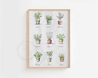 9 herbs botanical poster | Gardener kitchen herb chart wall art print, Cottage garden greenery decor, Digital download