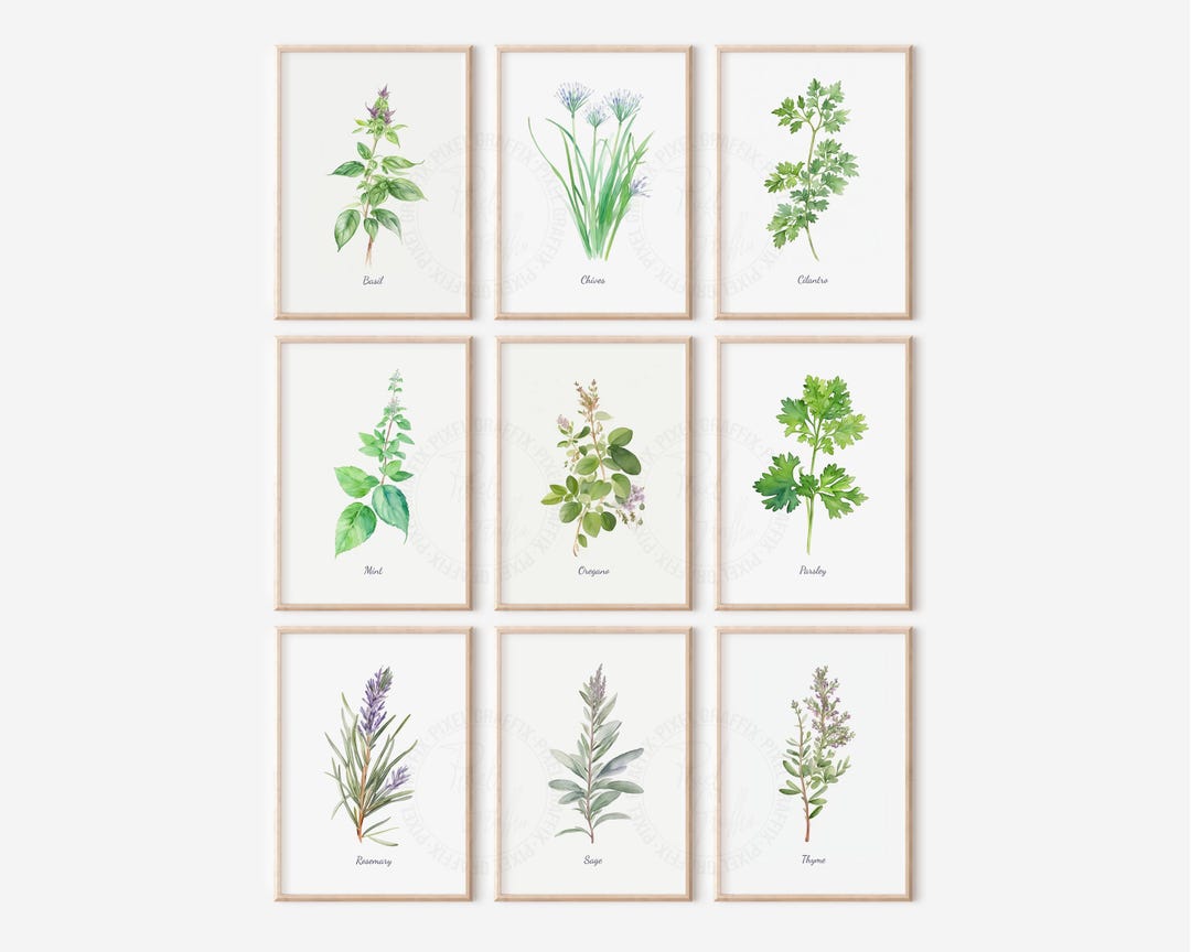 Herb Wall Art Set of 9 | Botanical Kitchen Prints, Farmhouse Decor ...