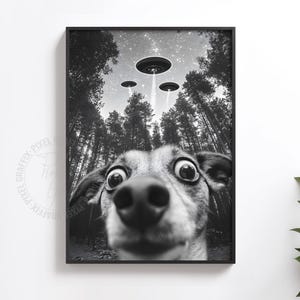 May include: Black and white framed print featuring a dog with wide eyes looking up at three UFOs in a forest. The image has a surreal, humorous quality, with the dog's close-up perspective creating a comical effect. The background shows tall trees and a starry sky.
