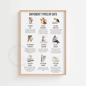 Funny different types of cats poster humorous cat wall art funny cat print printable cat art print cat lover gift cat gifts digital download
