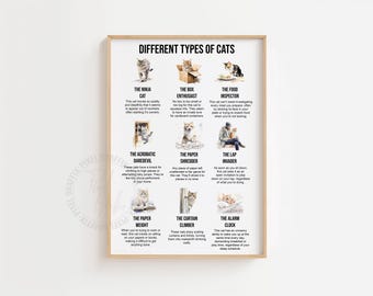 Funny different types of cats poster humorous cat wall art funny cat print printable cat art print cat lover gift cat gifts digital download