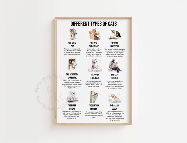 Funny Different Types of Cats Poster Humorous Cat Wall Art Funny Cat ...
