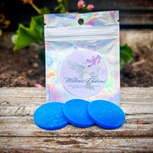 Scented Vacuum Filter Discs: Long Lasting Home Fragrance