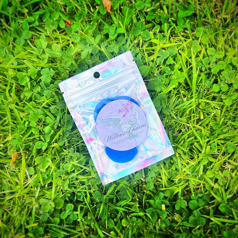 May include: A small iridescent zippered bag containing two blue round charms with a white circle sticker on one charm. The sticker has the text "Willow's Charms" and "Hand Made Charms with a Sprinkle of Love".