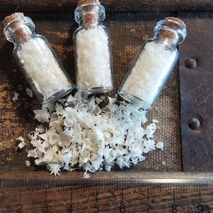 May include: Three small glass bottles with cork stoppers filled with white seashells. The bottles are on a wooden surface with a ruler in the foreground. The seashells have spilled out of the bottles.