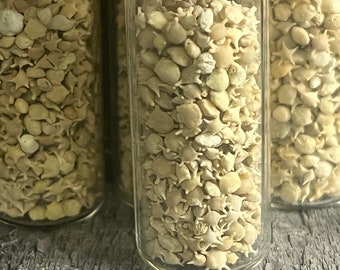 Small vials of star sand for curio cabinets