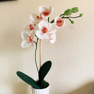 Orchidee häkeln // Topfblume häkeln // DIY