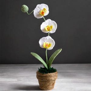 Crochet Mini Moth Orchid PDF Pattern image 3