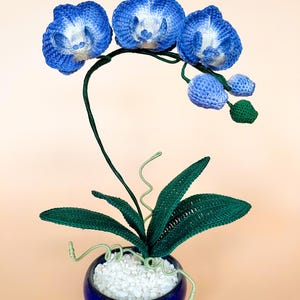 Crochet Mini Moth Orchid PDF Pattern image 4