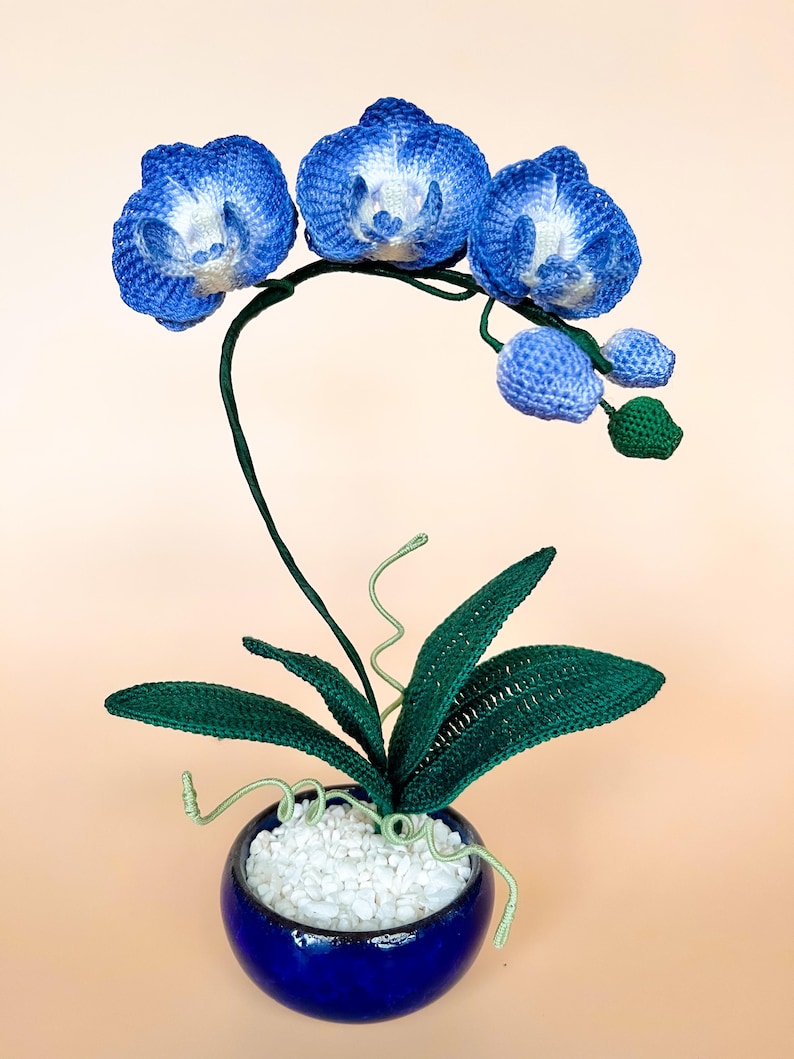 Crochet Mini Moth Orchid PDF Pattern image 4