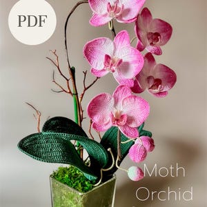 Orchidées papillons Patron PDF au crochet | Téléchargement instantané | Avec instructions en anglais