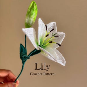 Może przedstawiać: Ręcznie robiony szydełkowy kwiat lilii z białymi płatkami, zielonymi akcentami i ciemnymi pręcikami. Kwiatowi towarzyszy zielony pąk i łodyga. Poniżej kwiatu widnieje napis "Lily Crochet Pattern".