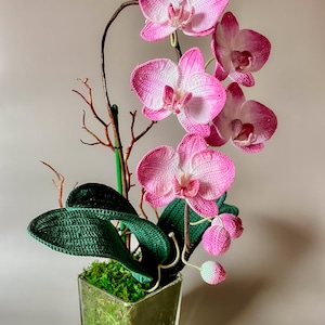 Realistyczna szydełkowa orchidea ćma w szklanym wazonie: ręcznie robiona kompozycja kwiatowa z merceryzowanej bawełny | Prezent świąteczny