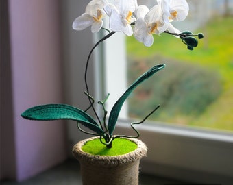 Orquídea polilla de ganchillo, producto terminado, regalo de cumpleaños, regalo del día de la madre, regalo del día de San Valentín, regalo de graduación, regalo para ella, decoración del hogar