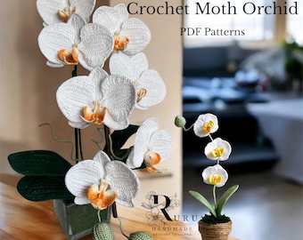 May include: Two crochet moth orchids in a square green pot and a small pot. The white flowers have orange and yellow centers. The text reads "2 in 1 Crochet Moth Orchid PDF Patterns."