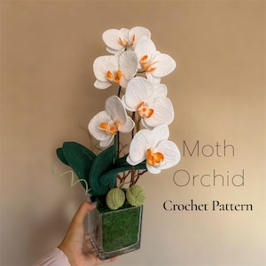 Patrón de ganchillo en PDF para orquídea mariposa / Tutorial en PDF de descarga instantánea con instrucciones en inglés