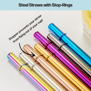 Metal Straw with Stopper Colorful Straw Tumbler Straw Replacement Straw Reusable Straw Extra Straw Add On 8.5 inch Straw 20oz 30oz Unique