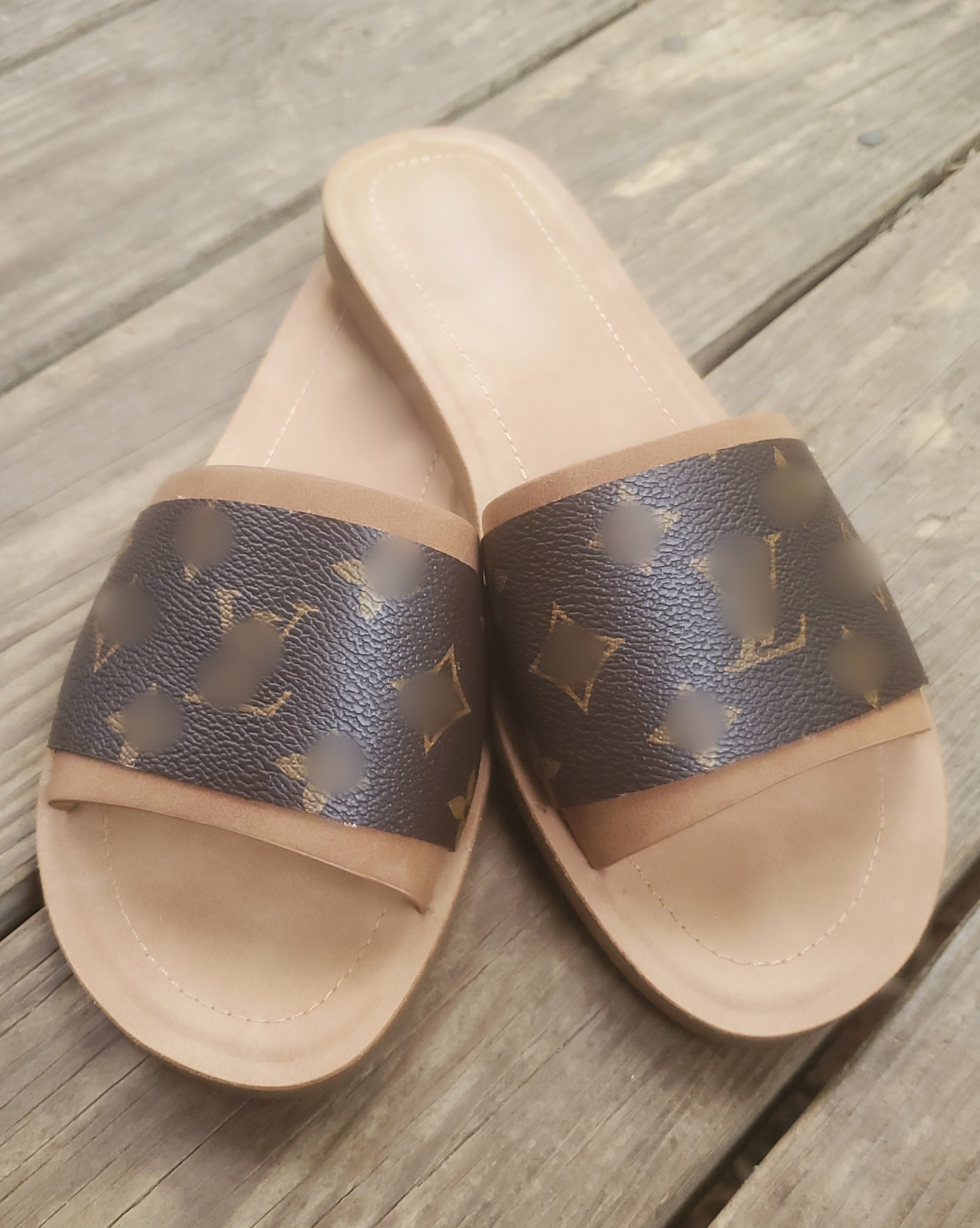 lv slides