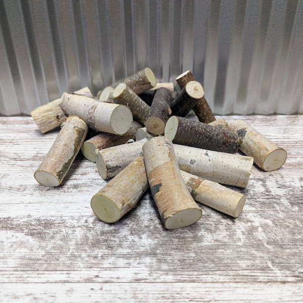 Mini Birch Logs