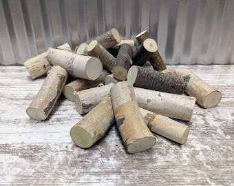 Mini Birch Logs