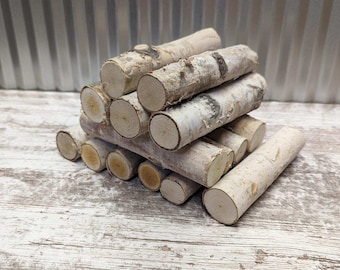 Small Birch Logs