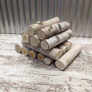 Small Birch Logs