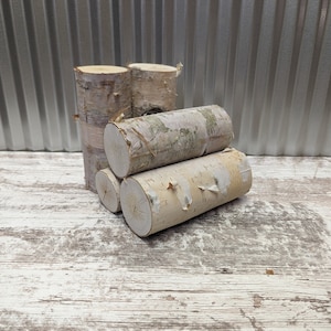 May include: Four birch wood rounds stacked on top of each other. The wood is light brown with a natural bark texture. The rounds are arranged in a staggered pattern.