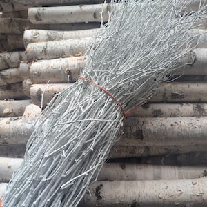 May include: A bundle of slender, white-painted branches secured with a red rubber band. The branches are tightly packed, creating a textured effect. The background shows a stack of birch logs with their distinctive white and brown bark.