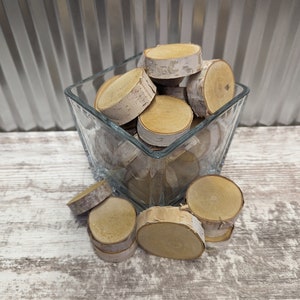 25 Natural Birch Disks, birch discs, birch slices, birch rounds; 2&quot;-3&quot; diameter