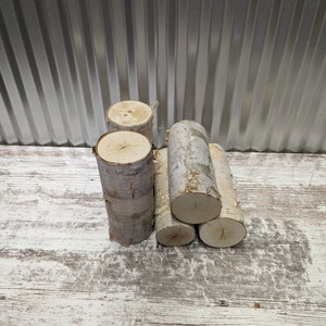 Medium Birch Pillar - Etsy