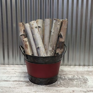 12&quot; Birch Logs
