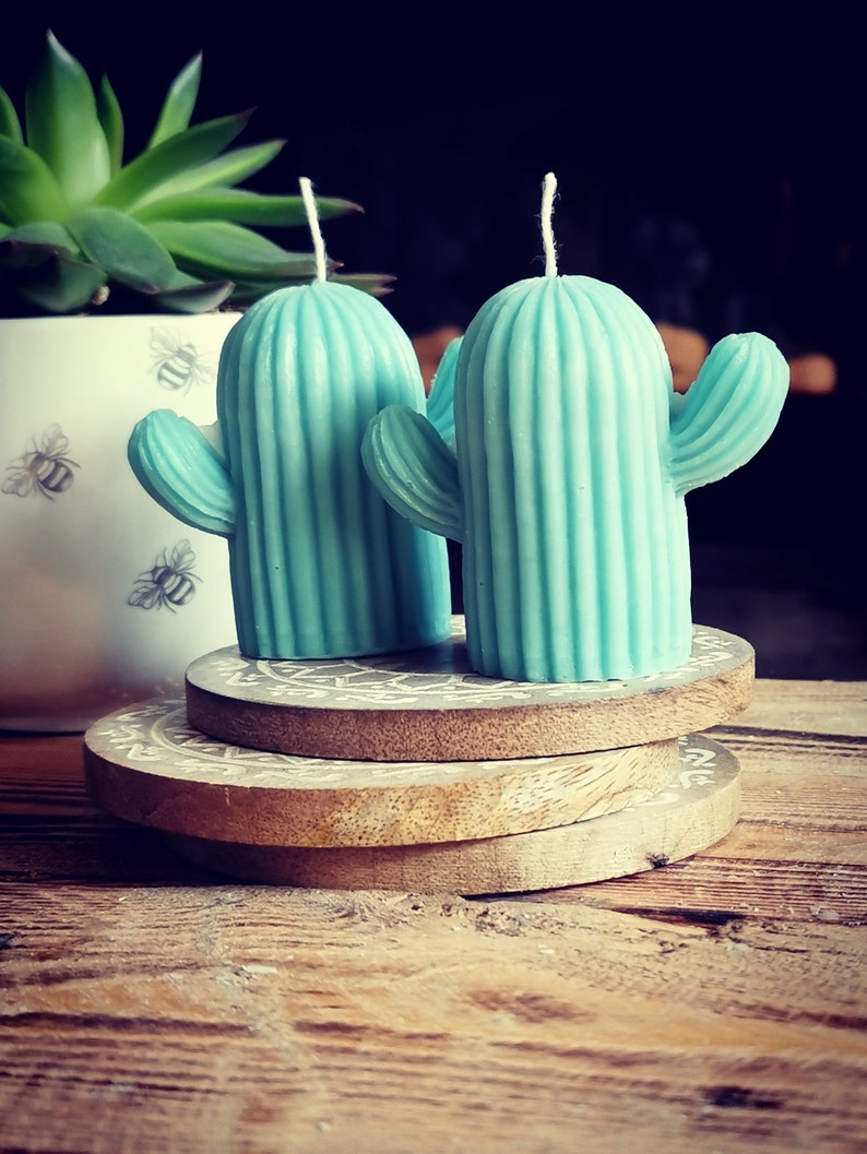 Cute Cactus Candle Set of 2 Cactus Candles Cacti Home Decor Cactus Gift