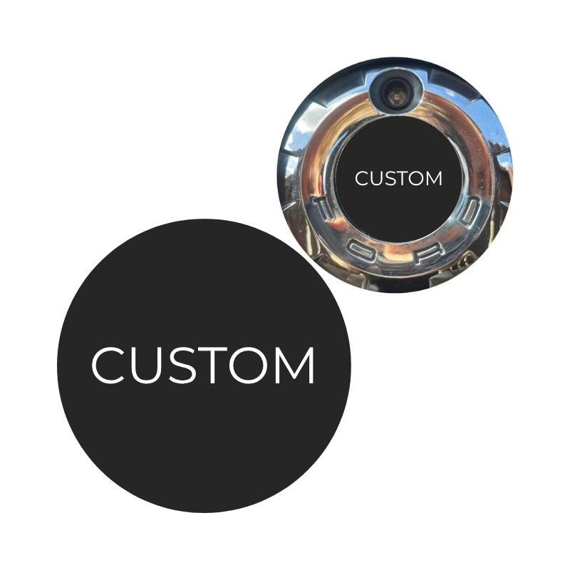 CUSTOM Ford Mustang Rear Emblem/badge 2005-2009 black/silver version