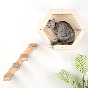 May include: A light-colored wooden cat perch in a hexagonal shape, with a gray tabby cat inside. A small wooden staircase with rope accents is to the left. A green plant is in the lower right corner. The cat perch is mounted on a white wall.