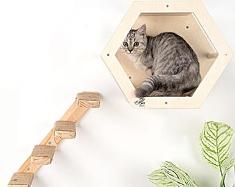 May include: A light-colored wooden cat perch in a hexagonal shape, with a gray tabby cat inside. A small wooden staircase with rope accents is to the left. A green plant is in the lower right corner. The cat perch is mounted on a white wall.