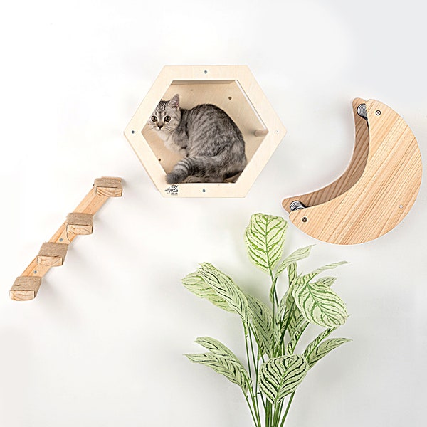 3-Piece Cat Wall Furniture Set-Hammock, Hexagon House, Climbing Steps-Wall Mounted Shelves-Modern Design