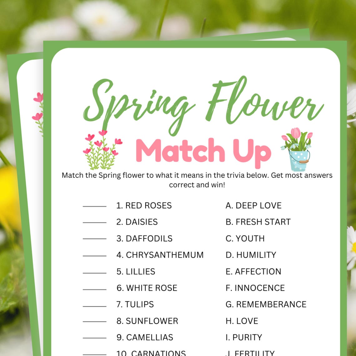 Spring Games, Spring Flower Trivia, Flower Match Up, Spring Party Games ...
