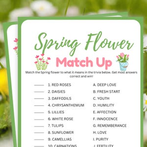 May include: A printable spring flower matching game with a green background and pink flowers. The game asks players to match the spring flower to its meaning. The flowers listed are red roses, daisies, daffodils, chrysanthemum, lilies, white rose, tulips, sunflower, camellias, and carnations. The meanings listed are deep love, fresh start, youth, humility, affection, innocence, remembrance, love, purity, and fertility.